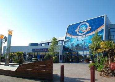 Aquarium 4